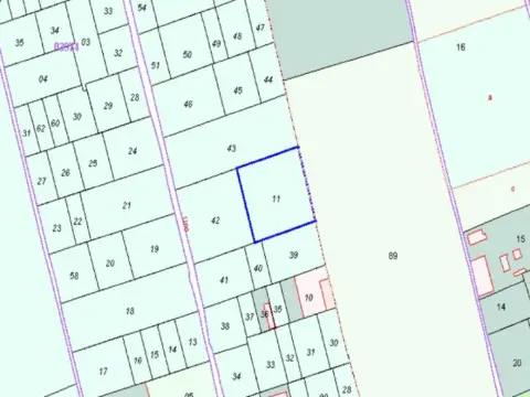 Finca rústica en calle Partida El Palmar, nº S/N